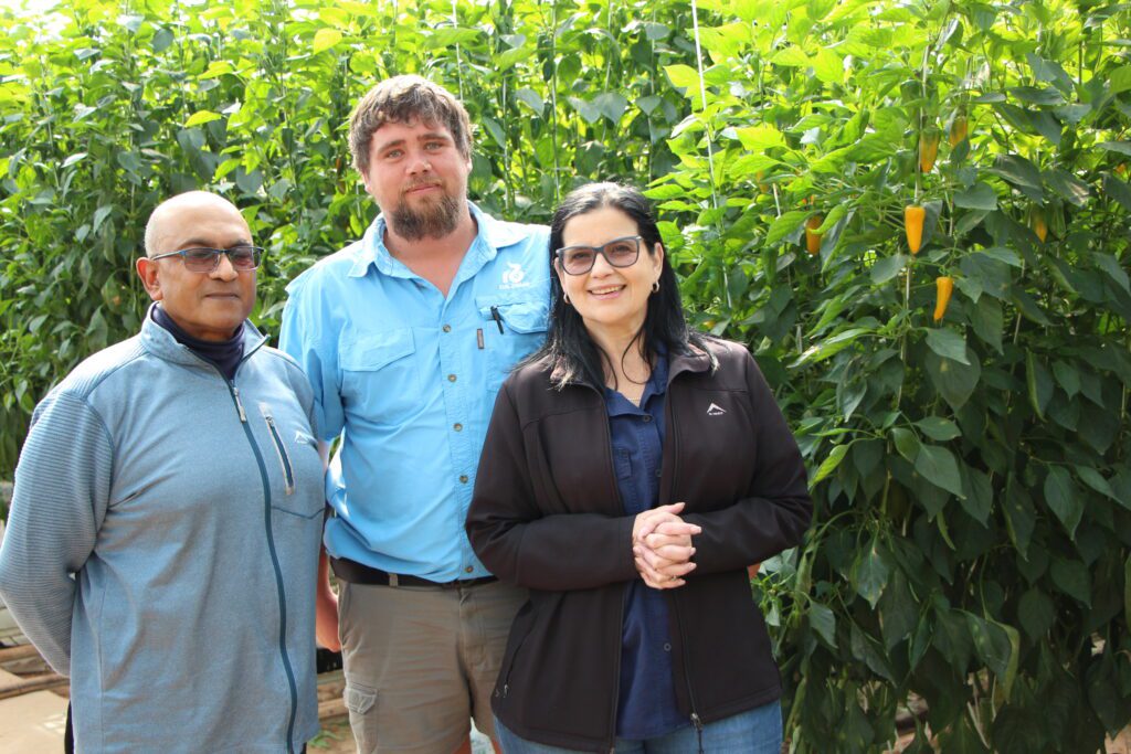 Male farmer with Rijk Zwaan farming experts standing in greenhouse.