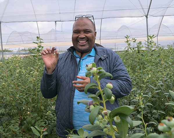 Prof Mzubanzi Bismark Tyobeka, NWU principal and vice-chancellor, explores the Madikwe Blue Berry Farm.