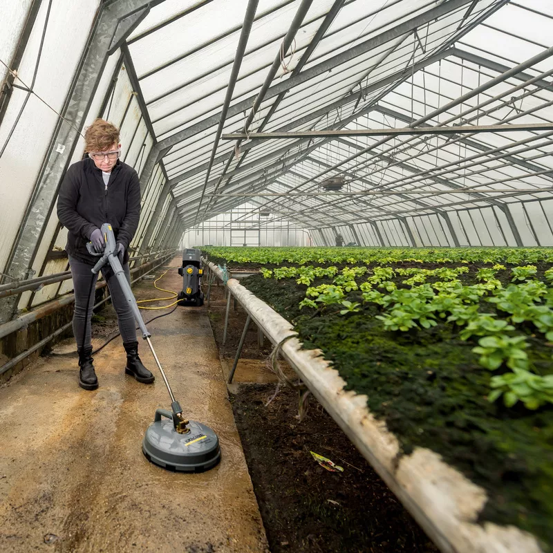 Greenhouse cleaning