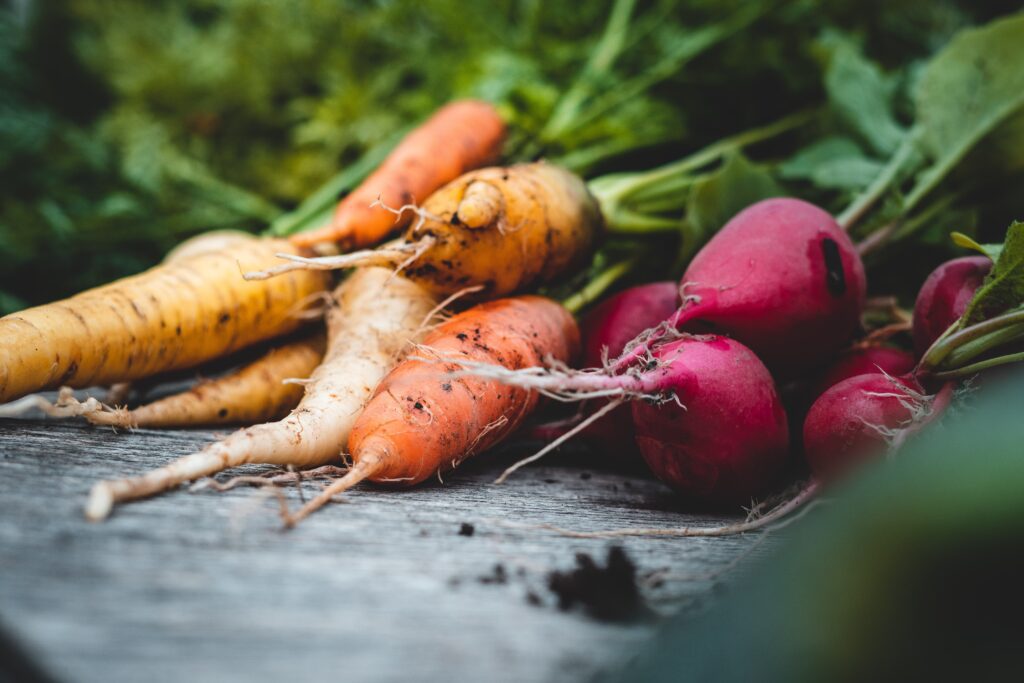 Roots Crop Photo by Jonathan Kemper on Unsplash