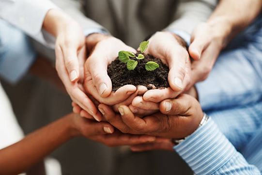 Regenerative Farming