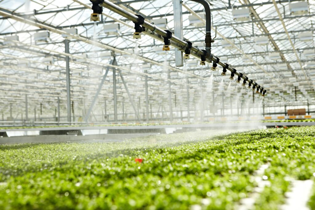 alternative energy for greenhouse farming in South Africa can power the irrigation system