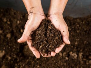 Peat-based Growing Media