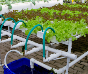 Hydroponics irrigation system