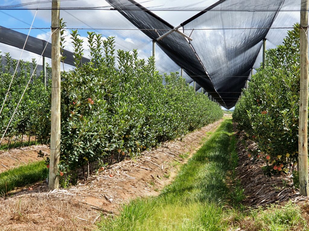 shade nets and tunnels