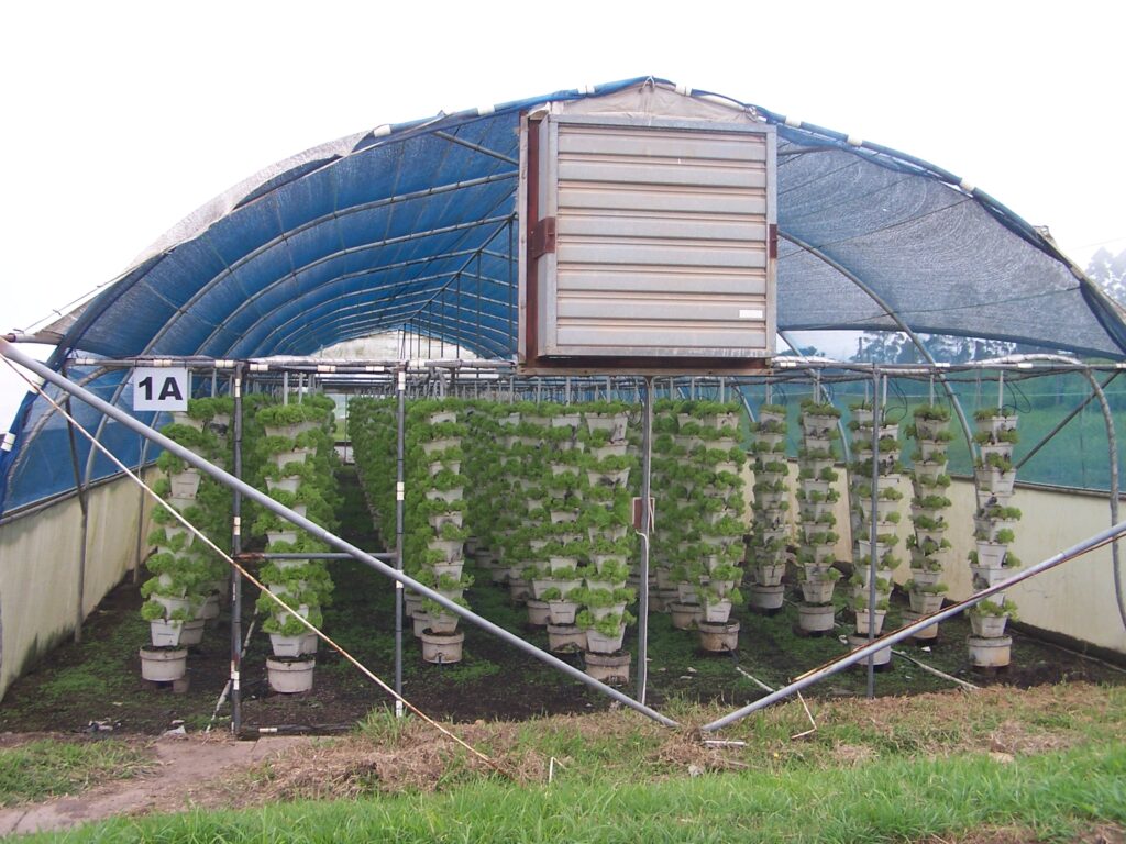 Hydroponics greenhouse