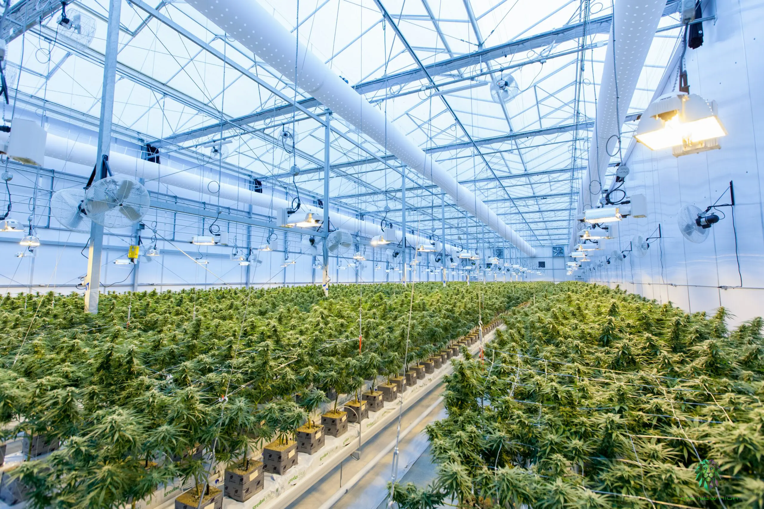 G.A.P., Environmental, Food Safety and Social Certifications for Undercover Farming: Why They Matter and How to Get Certified