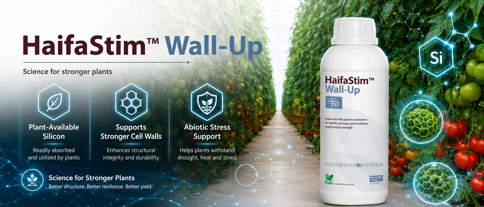 Resilient Silicon for Undercover Farming: Why HaifaStim™ Wall-Up S Matters
