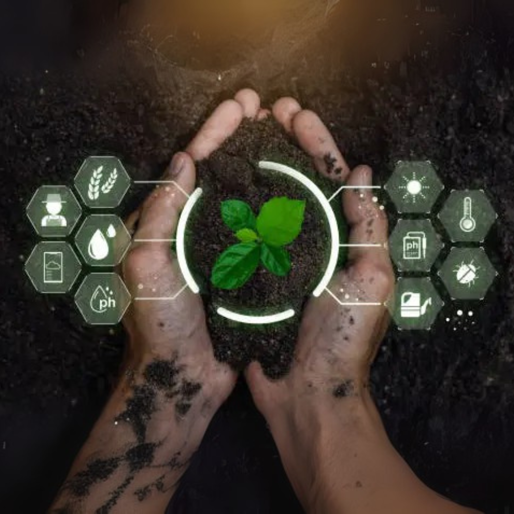 Biostimulants, Biofertilisers and Biocontrols in Undercover Farming: Building Stronger Biological Systems for South African Growers