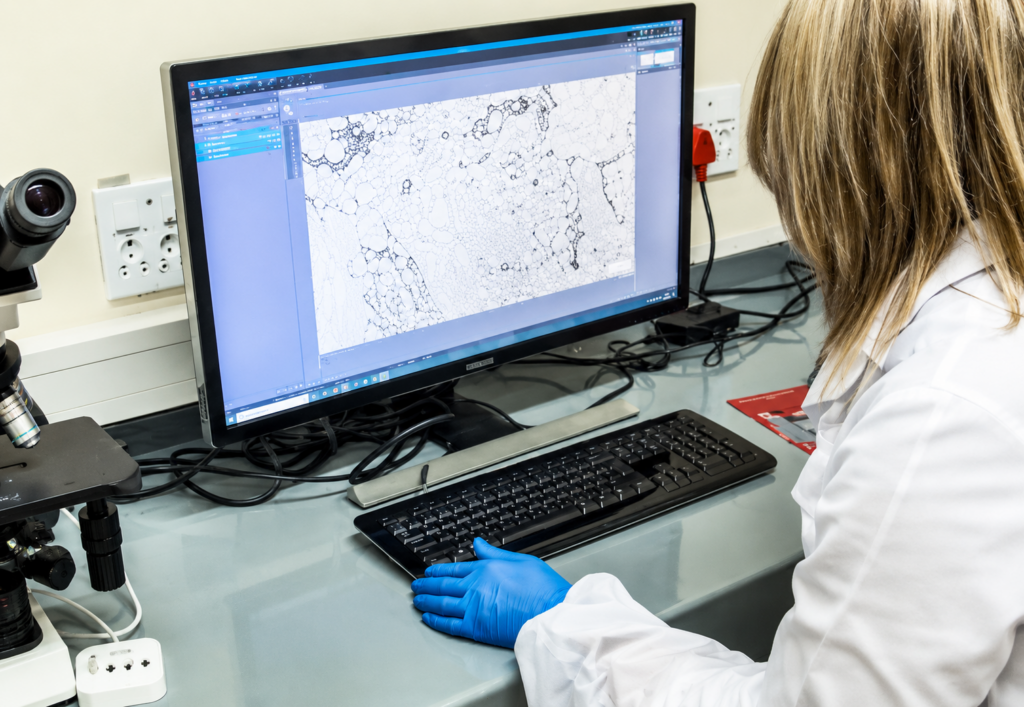 Vermitech Lab support  robust living soil system under protected vegetable production.