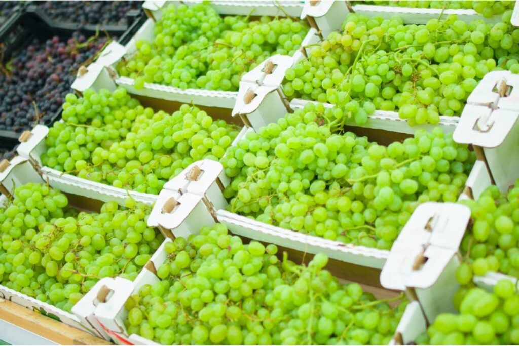 FLiPPER® gives table grape farmers a powerful biological insecticide option for thrips management, residue-conscious production, resistance management and flexible harvest planning.